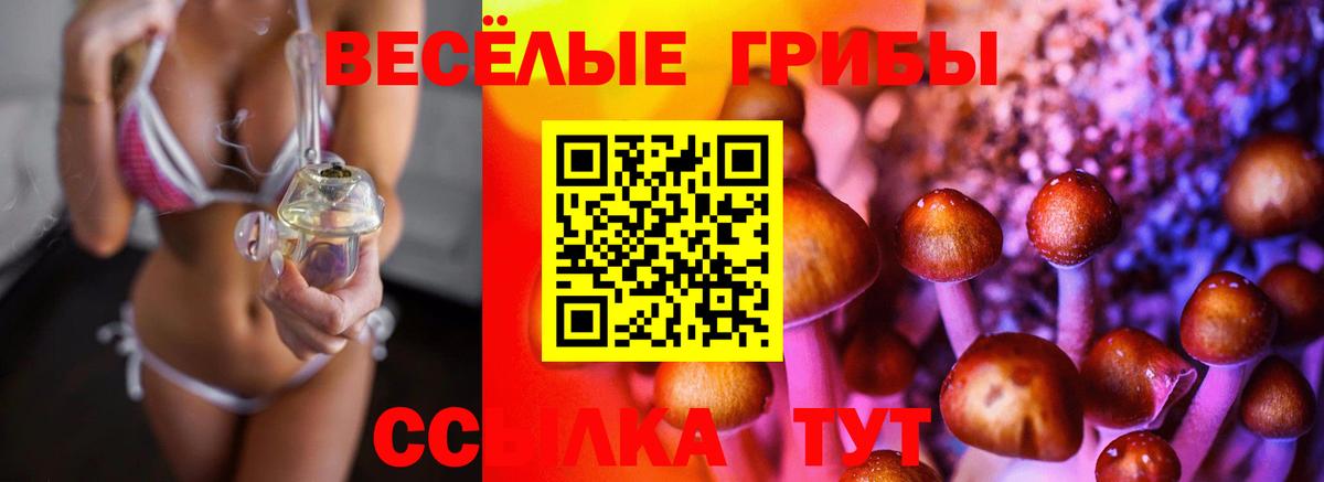 Лабытнанги  где продают   Вход с VPN  Галлюциногенные грибы Magic Shrooms 